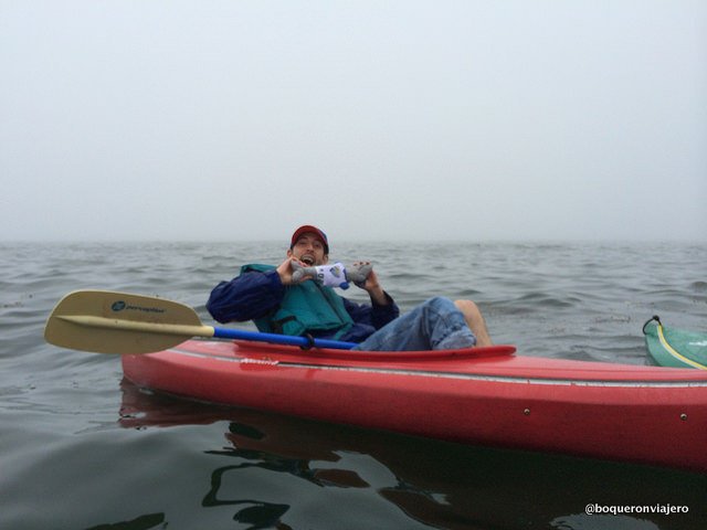 Pedro kayaking in Maine