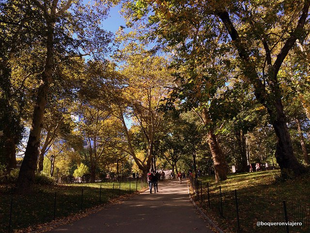A path in Central Park