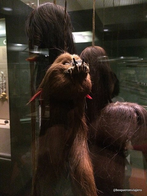 "Tsansas heads" at the American Museum of Natural History, New York
