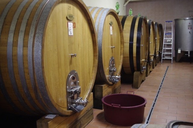 Italian barrels at Il Palagio
