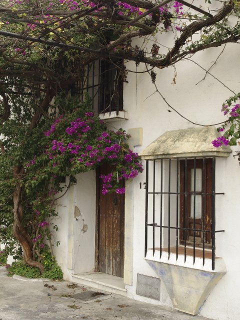 A house with bougainvillea in Carratraca, Málaga