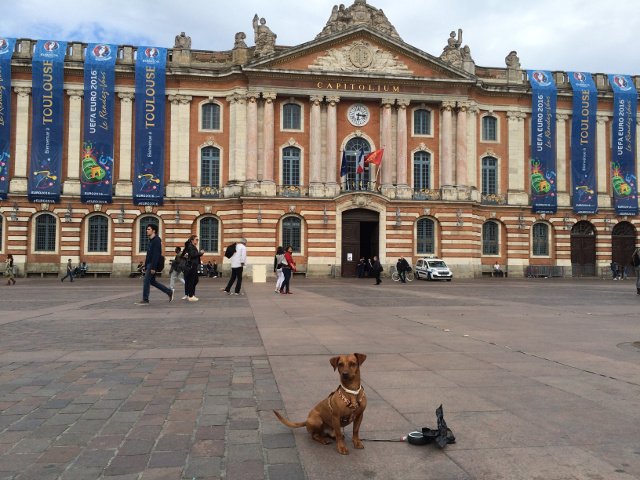 Dino with the Capitole Toulouse