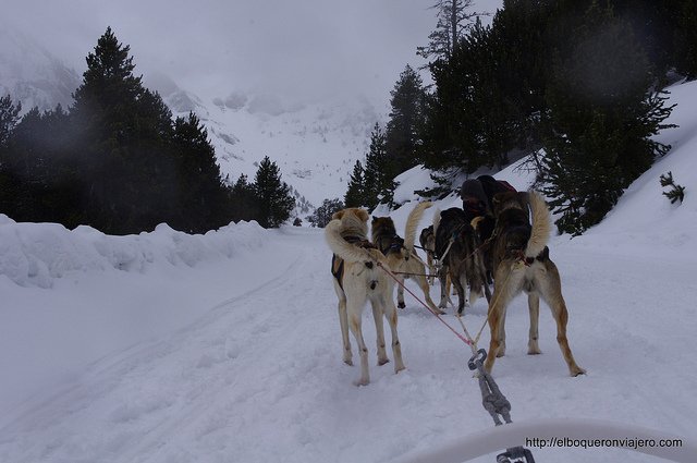 Trineo con perros en Vallnord Andorra
