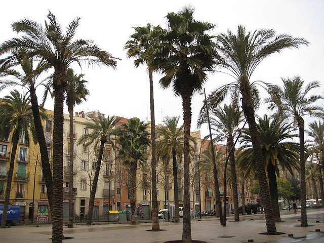 El Raval es una zona alternativa donde alojarse en Barcelona