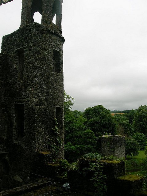 Castillo de Blarney, Cork