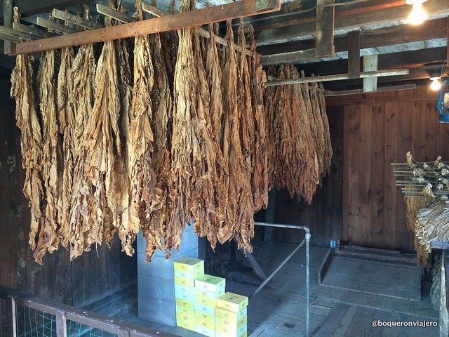 Cigar factory at the Amish Farm and House in Lancaster PA