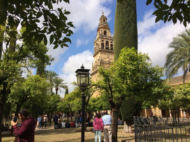 Patio de los naranjos en la Mezquita de Córdoba