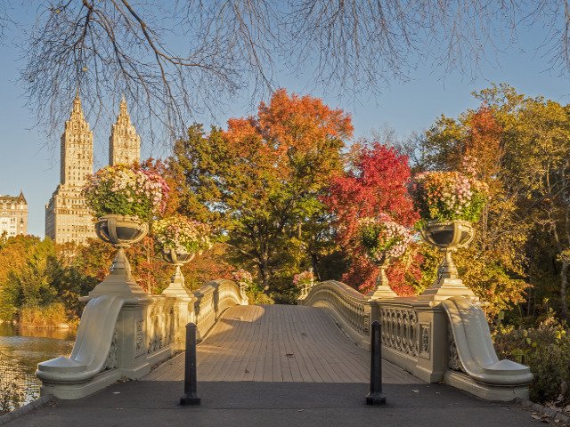 Las hojas durante el otoño en Central Park