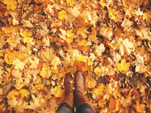Paseando con hojas de otoño Nueva York